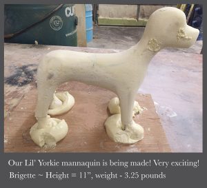 teacup,yorkie_dog_mannequin_phase2,dog harness,having our dog mannequin form made,sculpting.