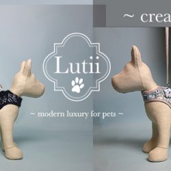 new dog harness designs! Elegant/upscale/designer