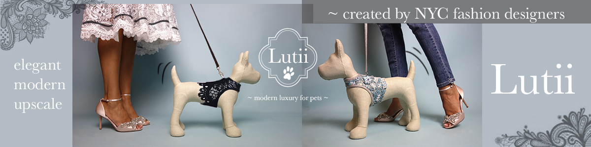 new dog harness designs! Elegant/upscale/designer