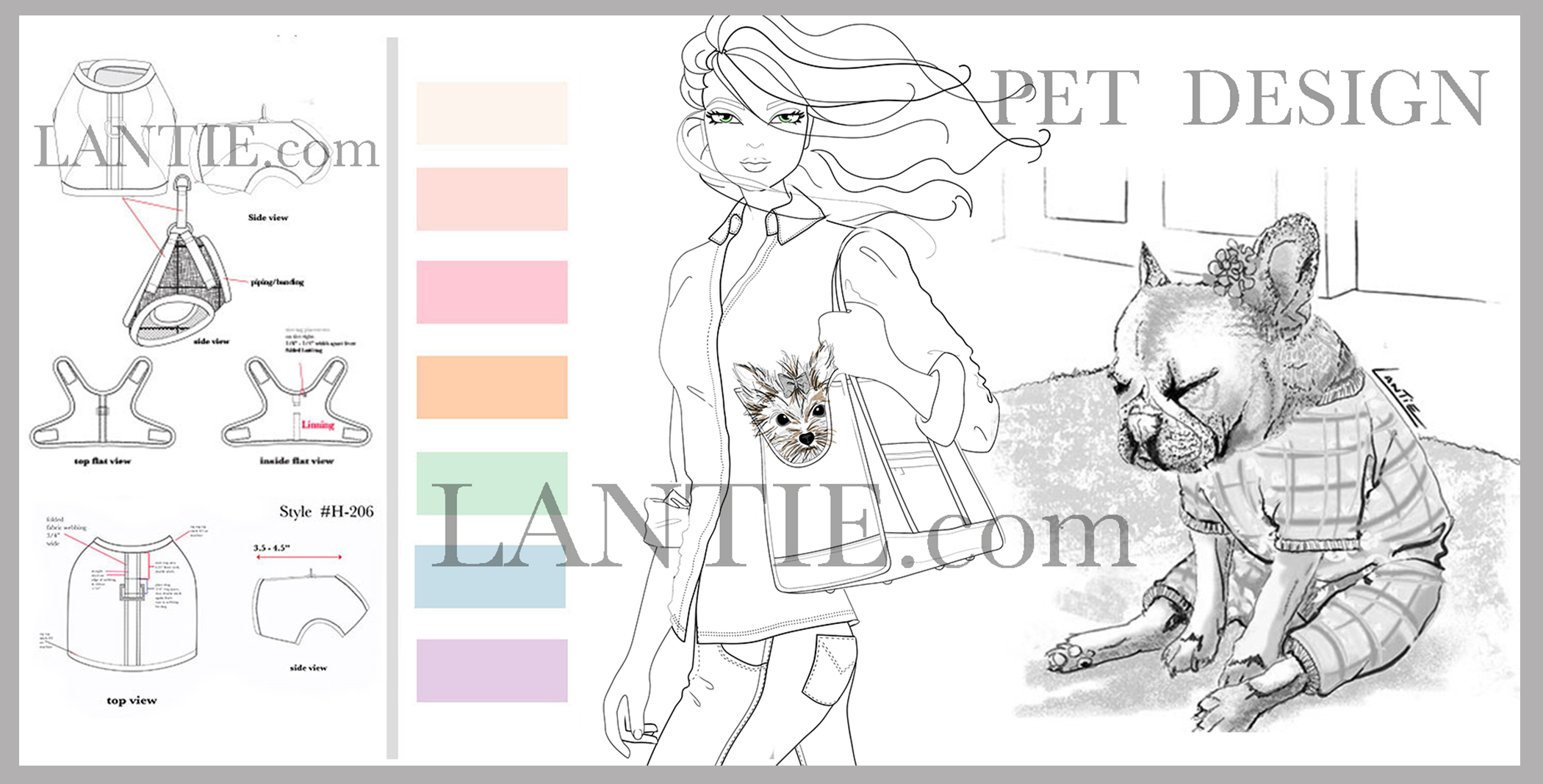 How Much Does It Cost To Start A Pet Collection Info From A Real